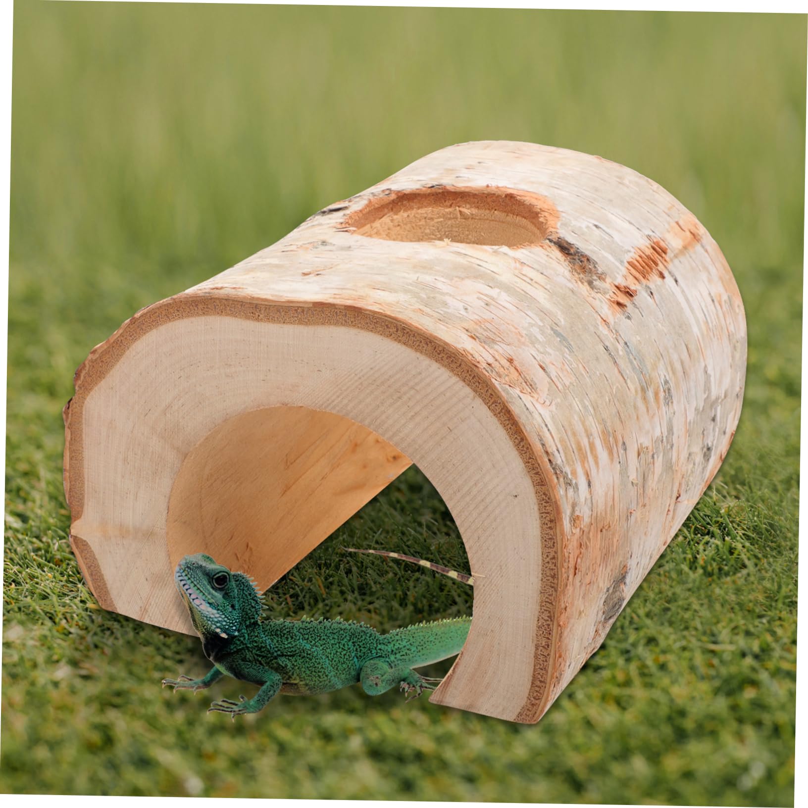 Hamstertunnel aus Stabilem Holz 15cm Breit Natural Hamsterhöhlenspielzeug für Zwerghamster Rennmäuse und Mäuse Käfigversteck und Kautunnel