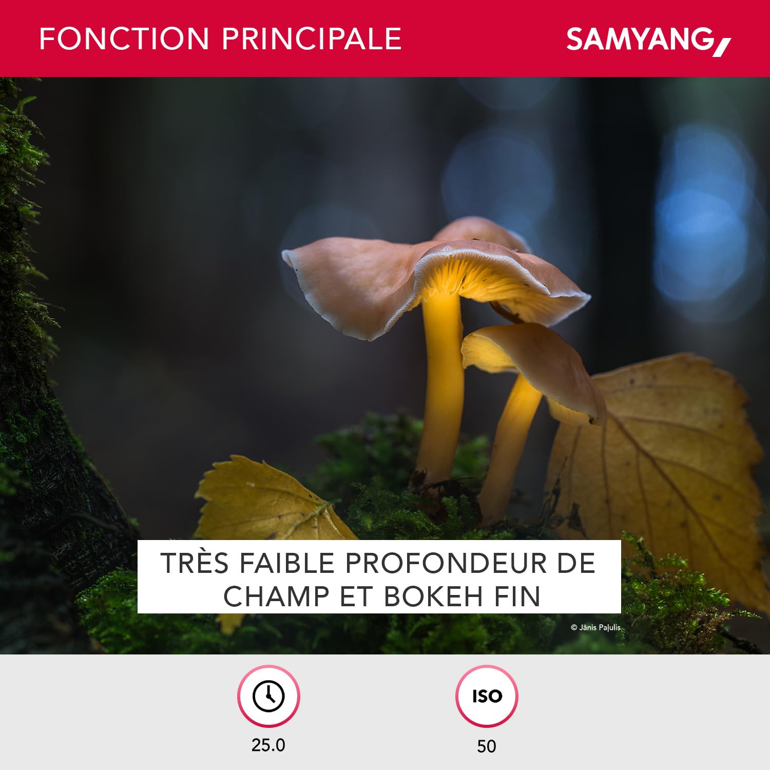 Samyang 135 mm F2.0 pour Canon EF - Plein format et téléobjectif APS-C à focale fixe pour appareil photo Canon avec monture EF/EF-S, mise au point manuelle