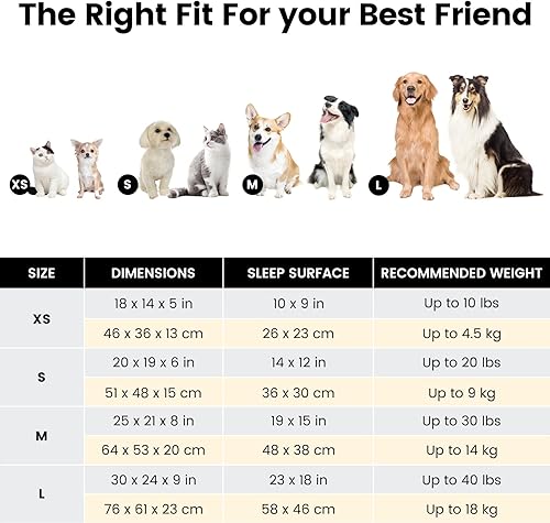 Miniatura 6 de Miguel Cama lavable para perros pequeños, sofá cama rectangular con cojín extraíble para perros pequeños, fácil de lavar, cama rectangular para