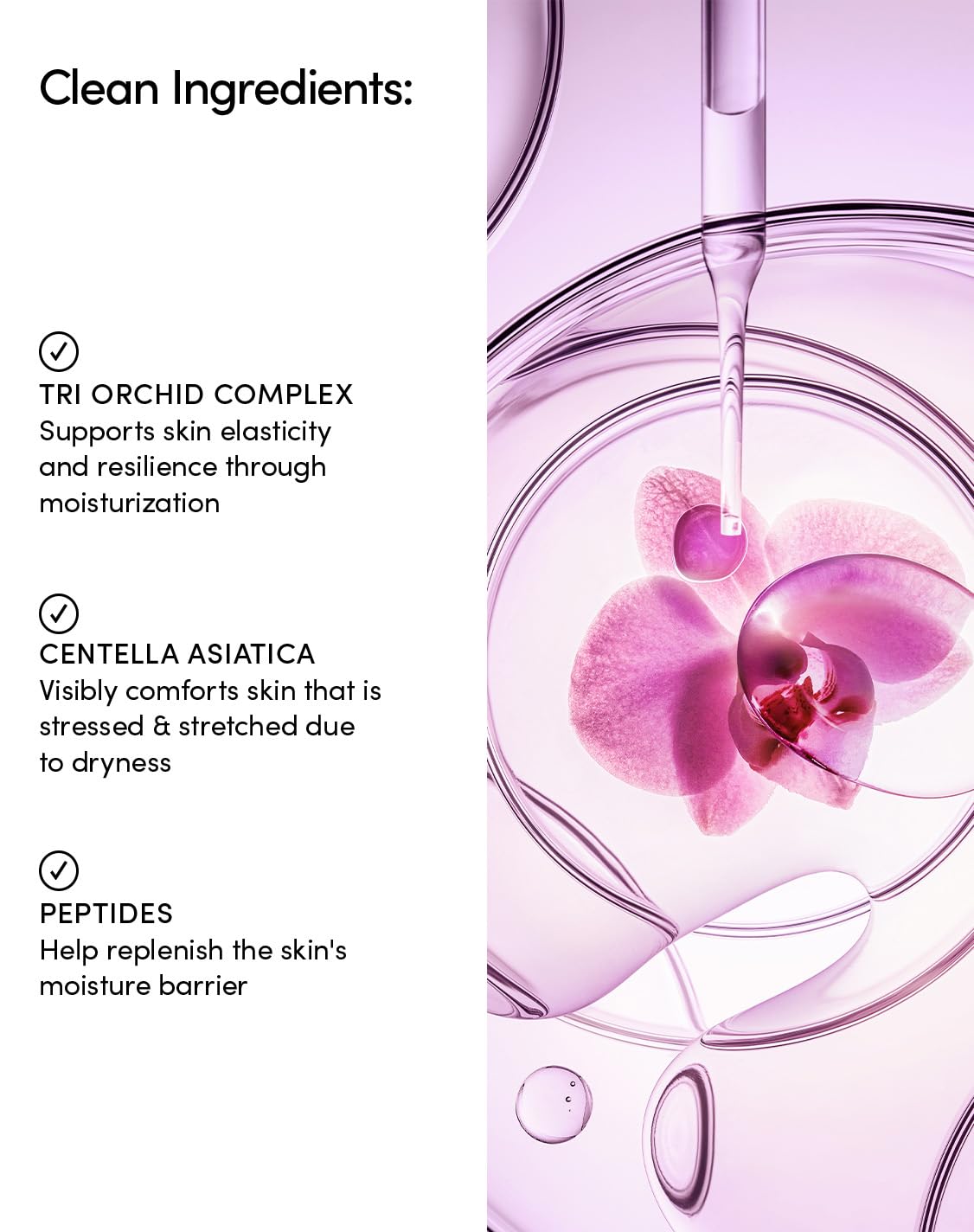Evereden Tri-Orchid Deep Stretch Mark Removal Ampules: Clean & Gentle Orchid-Infused Pregnancy Stretch Mark Prevention Cream | Pregnancy & Breastfeeding-Safe Extreme Stretch Mark Removal Cream
