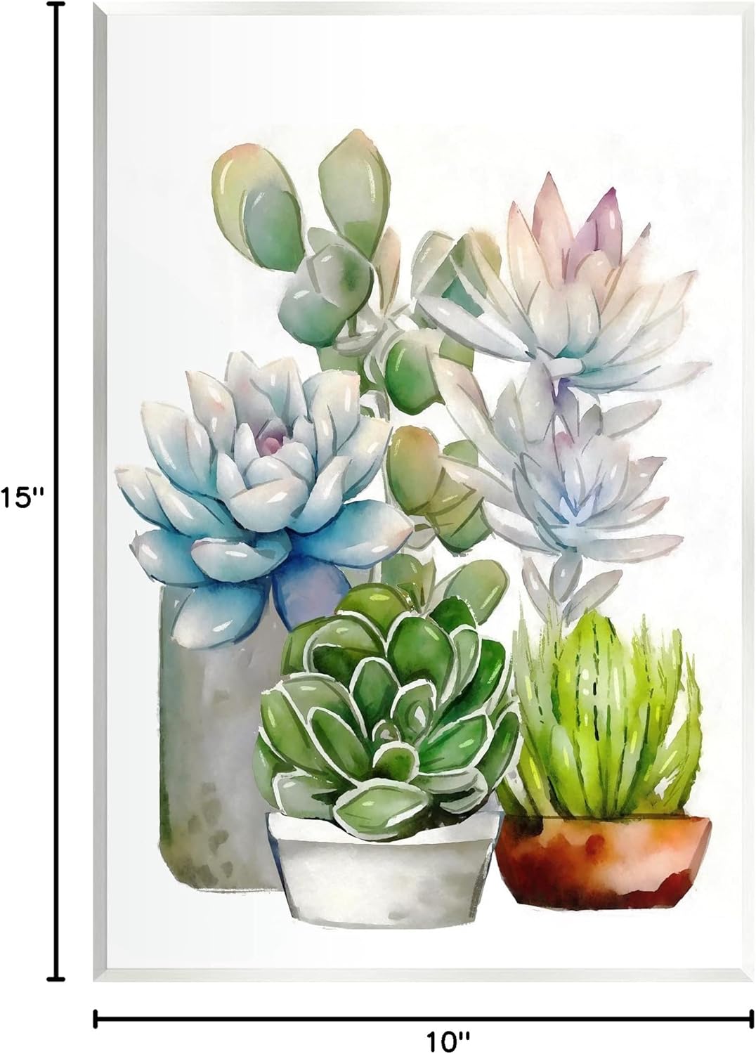 Stupell Industries Mixed Potted Succulent Garden Wall Plaque Art, Design by Ziwei Li