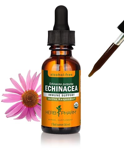 Herb Pharm Echinacea Alcohol-Free Extract: Immune System Support for All