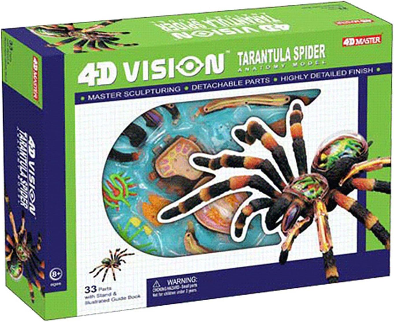 4D Vision Spider Anatomy Models - Removable 33 Parts Organs and Body Parts Medical Teaching Model - for Study Diaplay Teaching,Animal Anatomical Model