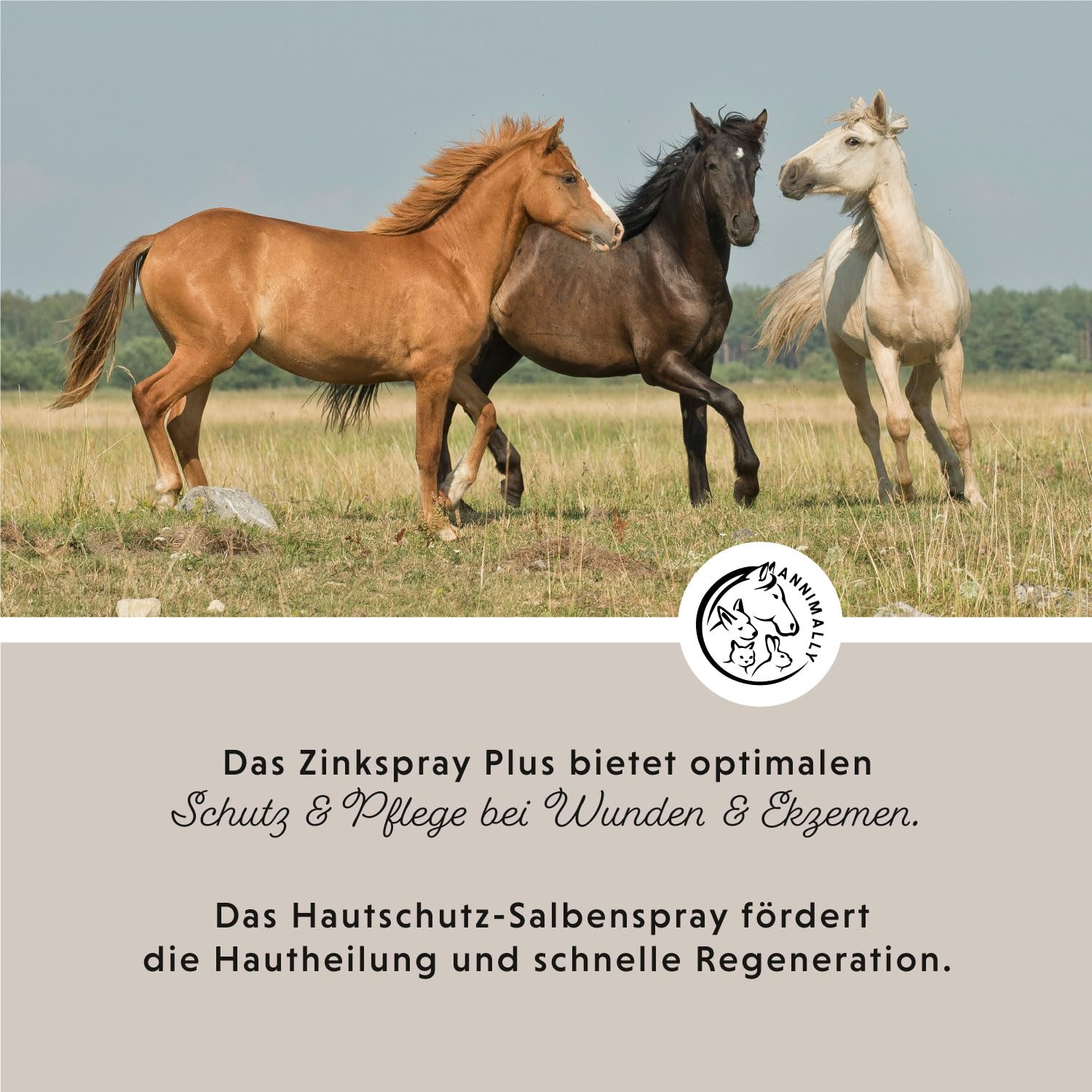 Annimally Zinkspray für Pferde 200ml - Atmungsaktive Wundabdeckung mit Zinkoxid, Lanolin & Allantoin um Abdecken von Wunden - Schutz vor Keimen & Pflege bei Ekzemen