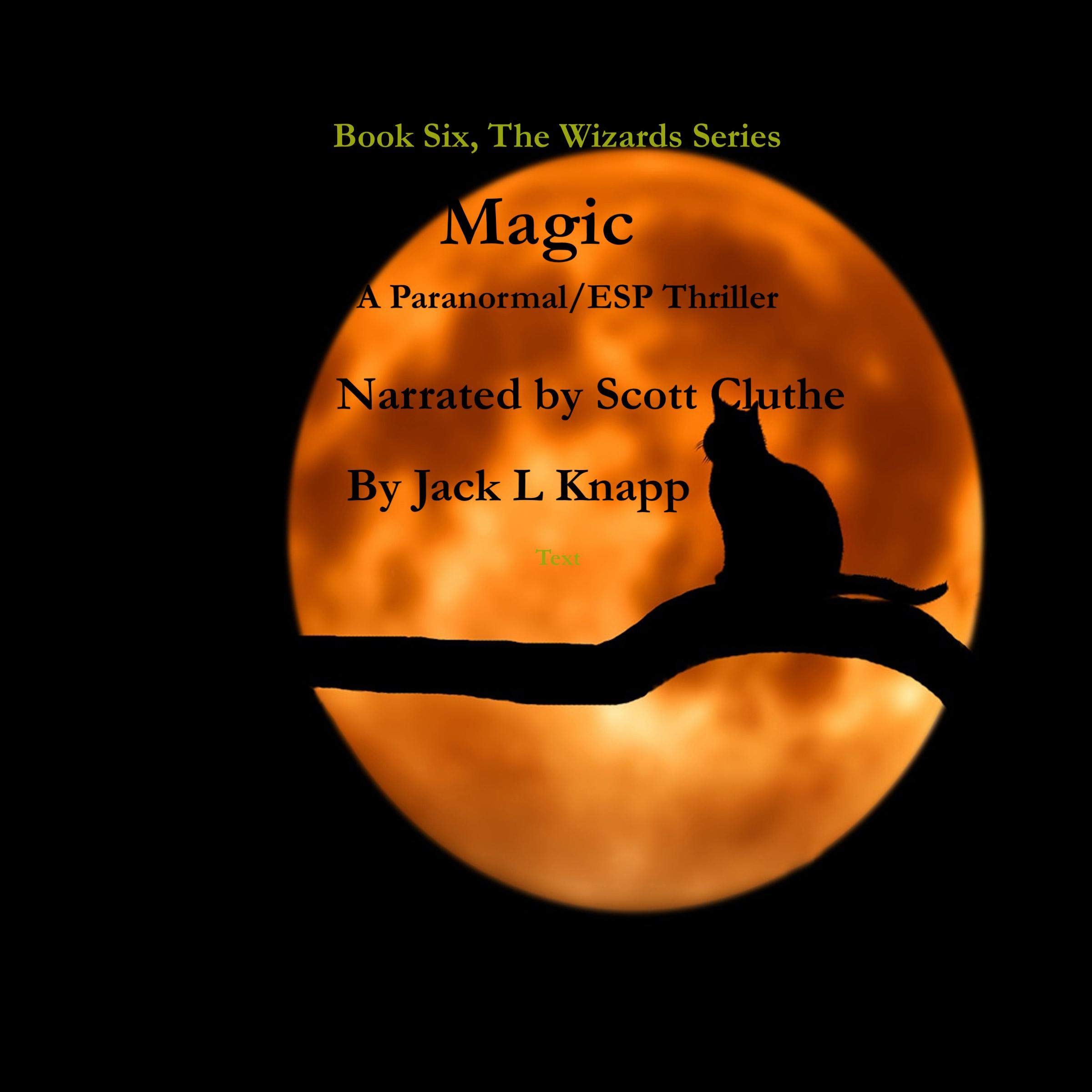 Cover art for Magic: The Wizards Series, Book 6