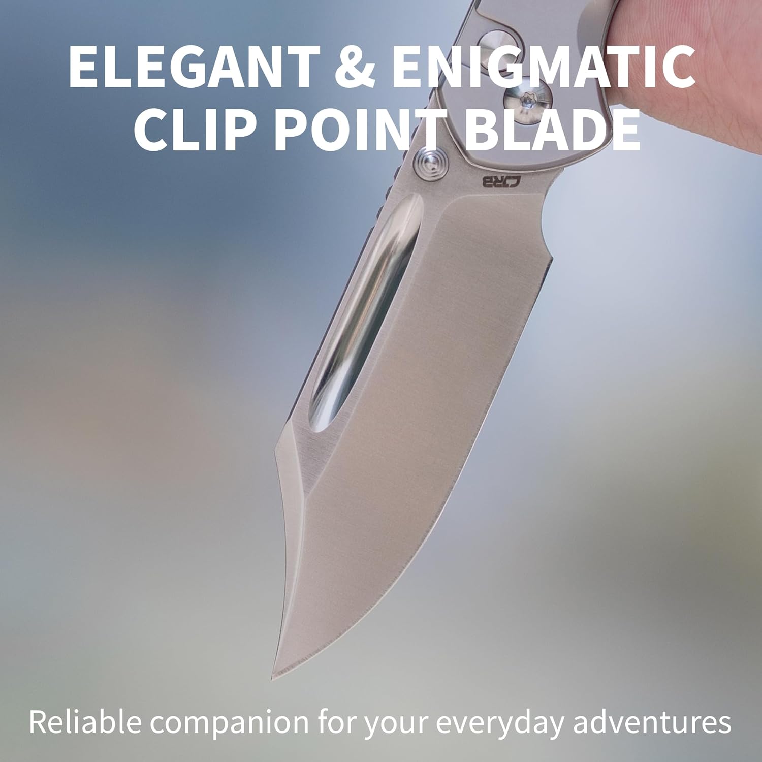 CJRB Bowie Pyrite Pocket Knife, Folding Knife with 3.15'' AR-RPM9 Steel Blade, Hunting Knife with Clip Steel Handle for EDC, Camping, Survival - Suitable for Men & Women J1942