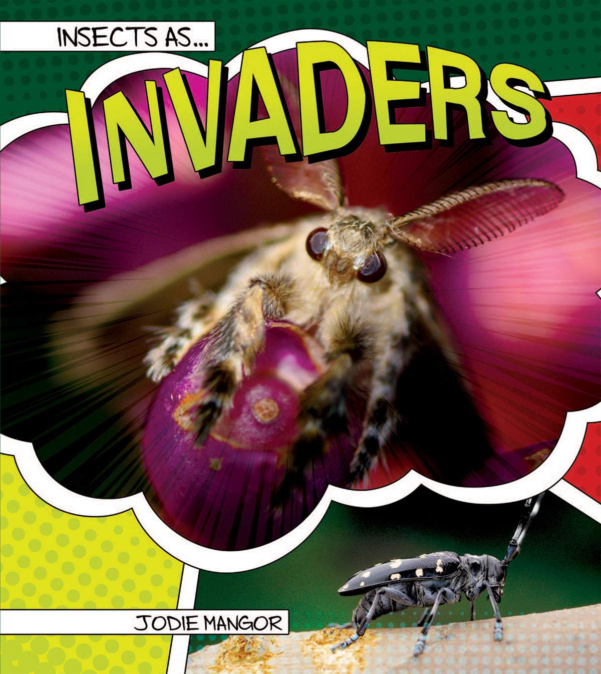 Rourke Educational Media Insects as Invaders (Insects As…)