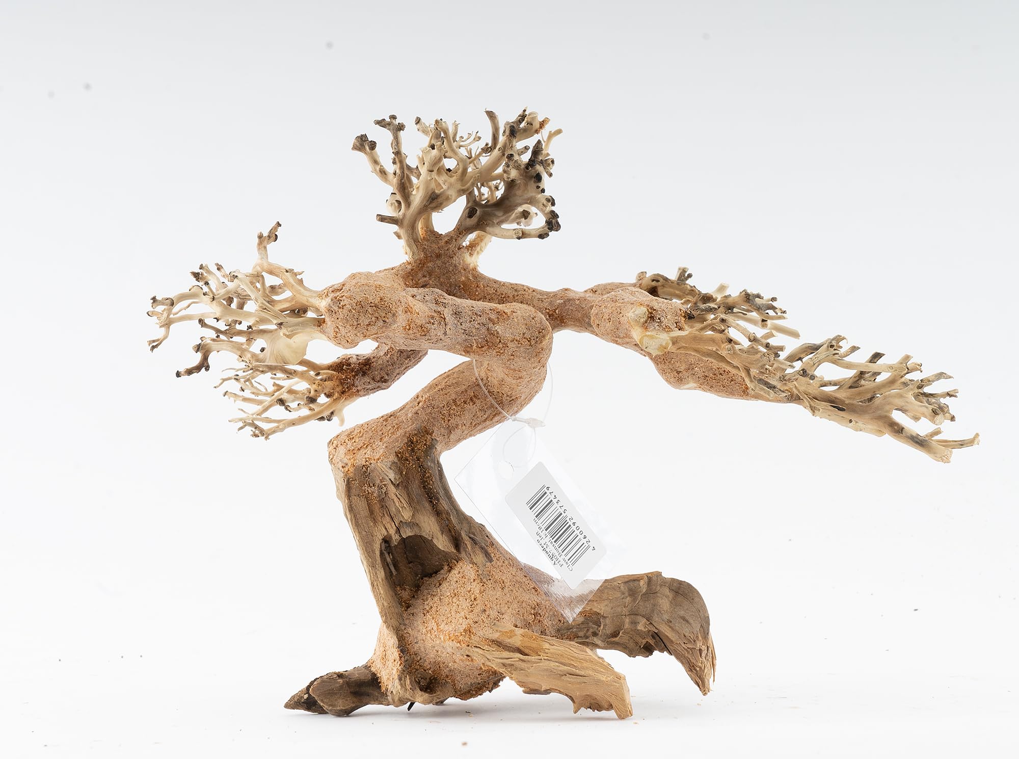 NatureHolic Bonsái forestal | Raíz de madera real | Decoración de acuario de madera | Para acuario y terrario | Tamaño: M