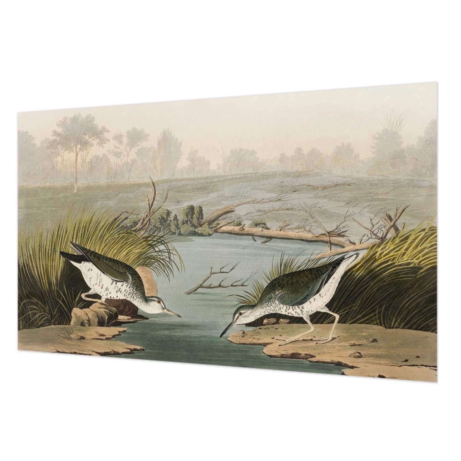 Papier peint intissé paysage paisible 416x254 cm décoration murale salon chambre avec colle