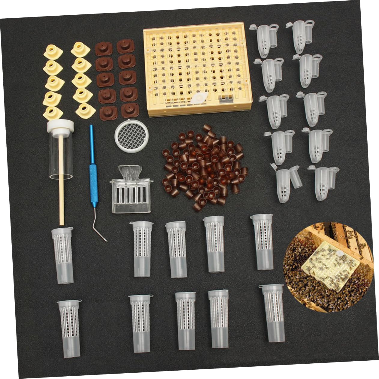 Boîte pour Système D’élevage de Reines Abs Légère, Kit Apicole