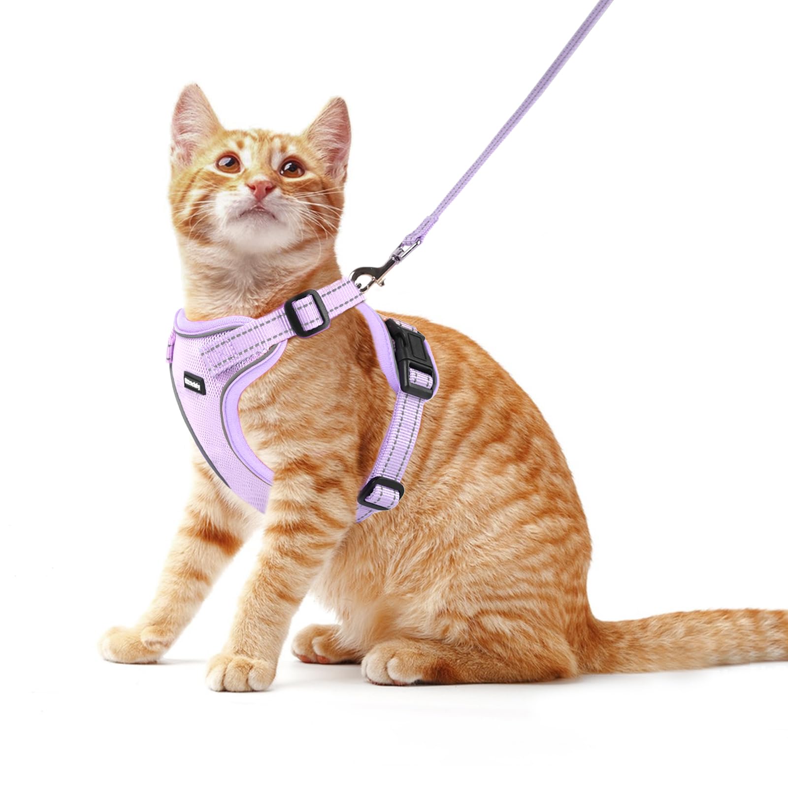 Rttochfy Cat Harness and Leash Set, Adjustable and Reflective Cat Vest, Escape Proof Kitten Harness, Easy to Put on with 3 Buckles for Cats Walking