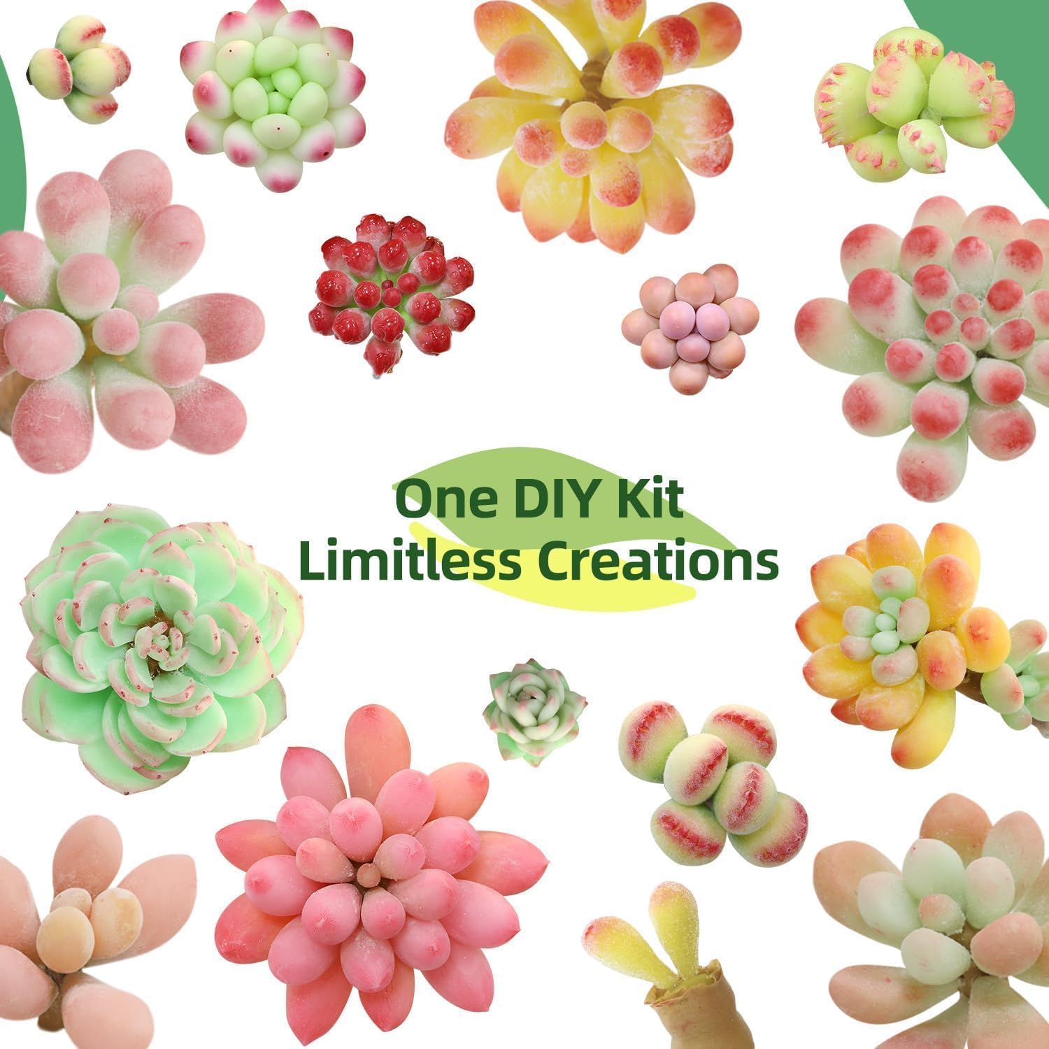 Microland Air Dry Clay Art Set Fake Succulents Flower Making Kit Adult Arts and Crafts for Women Creative Craft Kits for Teens DIY Mini Plant Crafting Set Crafty Flower Gift Artist Gift for Mother Fun