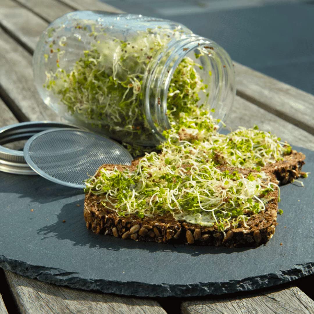 Sprossenglas Set - Plastikfrei - 1000ml - 1l Keimglas - Gestell aus Edelstahl und Untersetzer aus Keramik - Flexibel erweiterbar - optimale Größe für den Start in die Welt der Sprossen