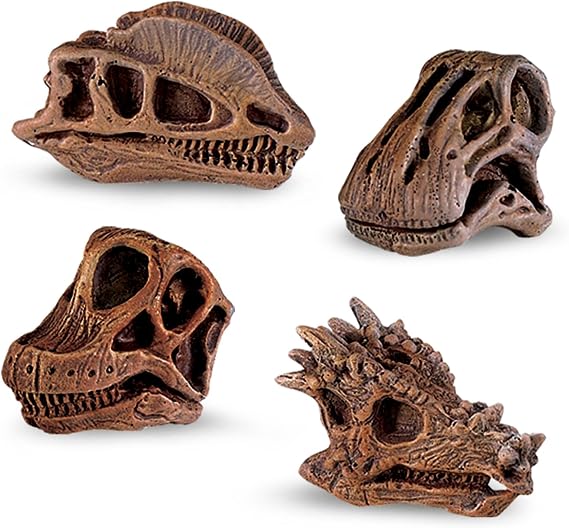 Safari Ltd Dinosaur Skulls TOOB - 11 Mini Figurines Including Velociraptor, Brachiosaurus, Oviraptor, Triceratops, Tyrannosaurus Rex and More - Educational Toy Figures for Boys, Girls & Kids Ages 3+