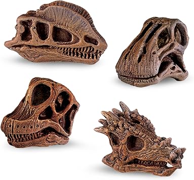 Safari Ltd Dinosaur Skulls TOOB - 11 Mini Figurines Including Velociraptor, Brachiosaurus, Oviraptor, Triceratops, Tyrannosaurus Rex and More - Educational Toy Figures for Boys, Girls & Kids Ages 3+