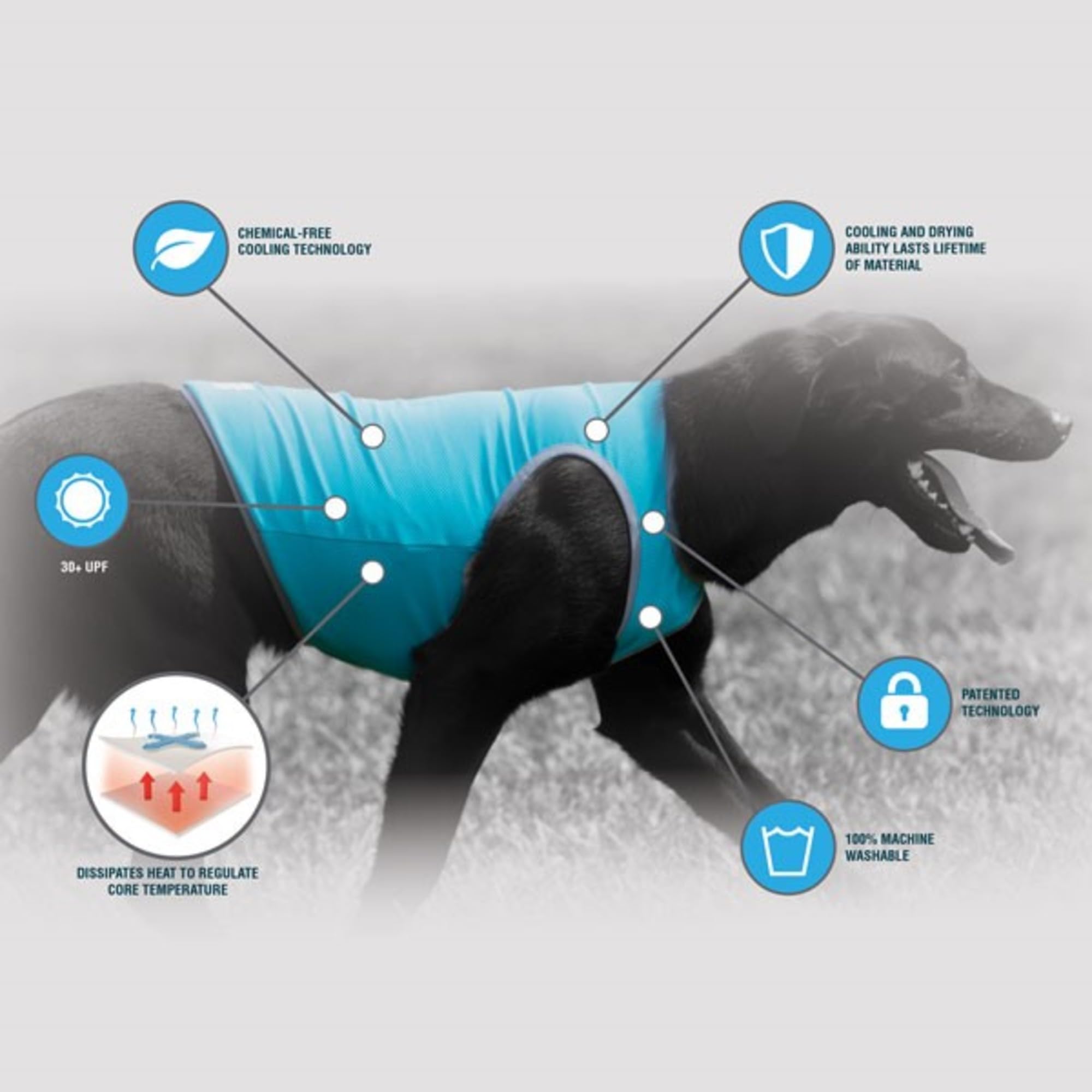 Terrain Gilet de Refroidissement pour Chien – Tissu rafraîchissant alimenté par la Technologie Coolcore