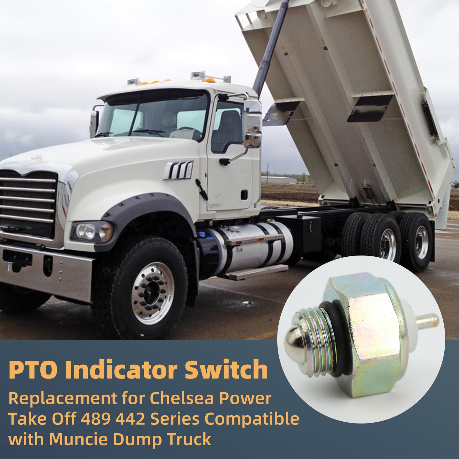 PTO Indicator Switch 30T38111 379639 Replacement for Chelsea Power