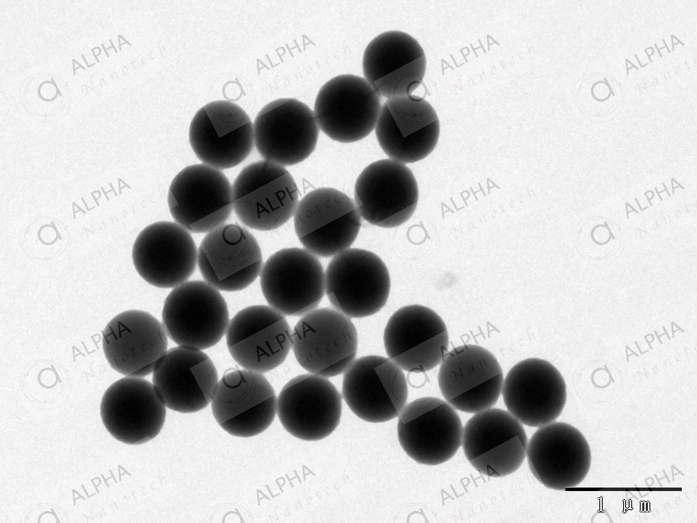 Alpha Nanotech Colloidal Polystyrene Beads (Non-Functionalized; 1000 nm, 10 mg/ml, 10 ml)