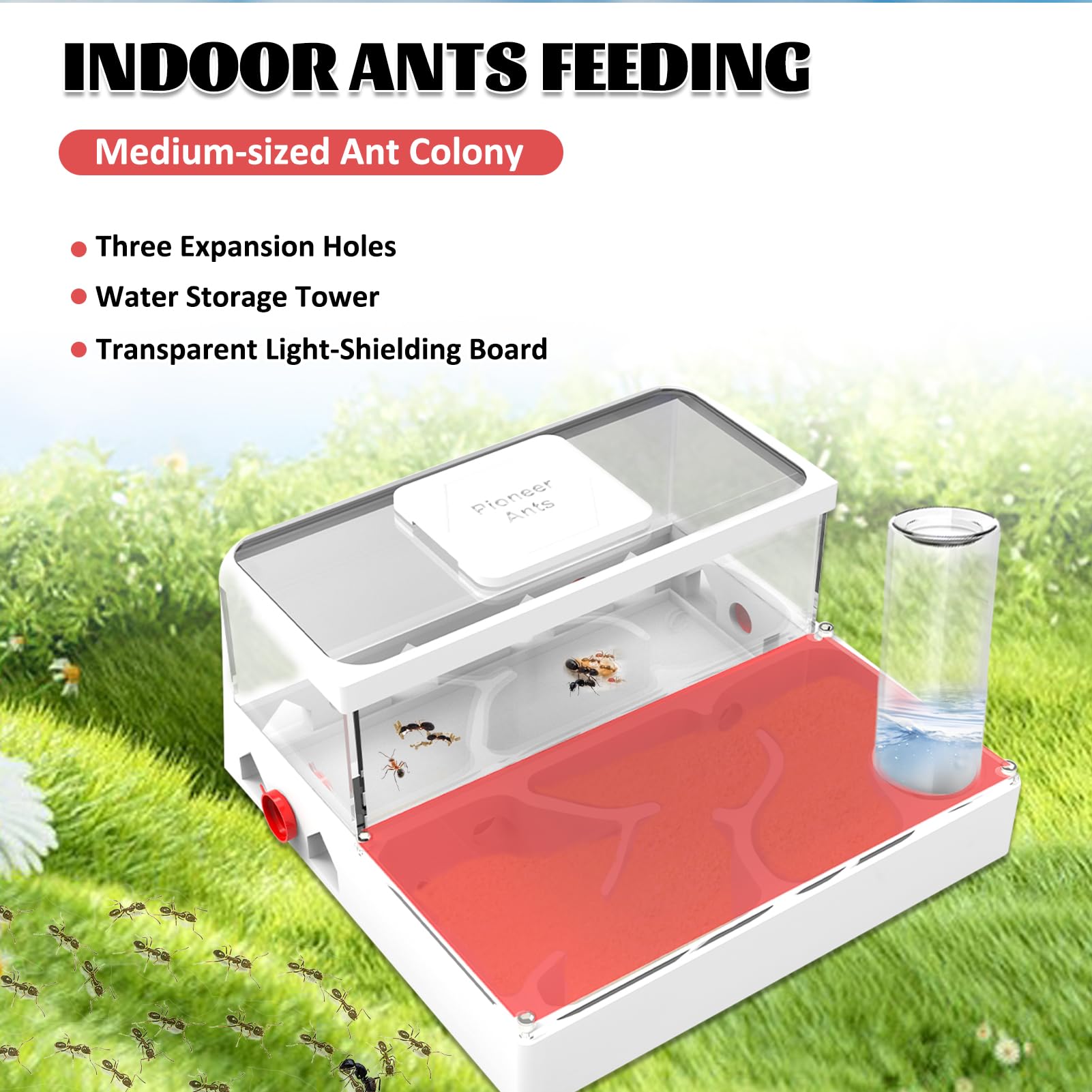 PioneerAnts Ant Farms with Yellow Sand and Tool Kit-Transparent Ant Farm for Adults 3D Printed Ant Nest Workshop Castle Ant Garden for Live Ants and Queen (Model-B) - Image 3