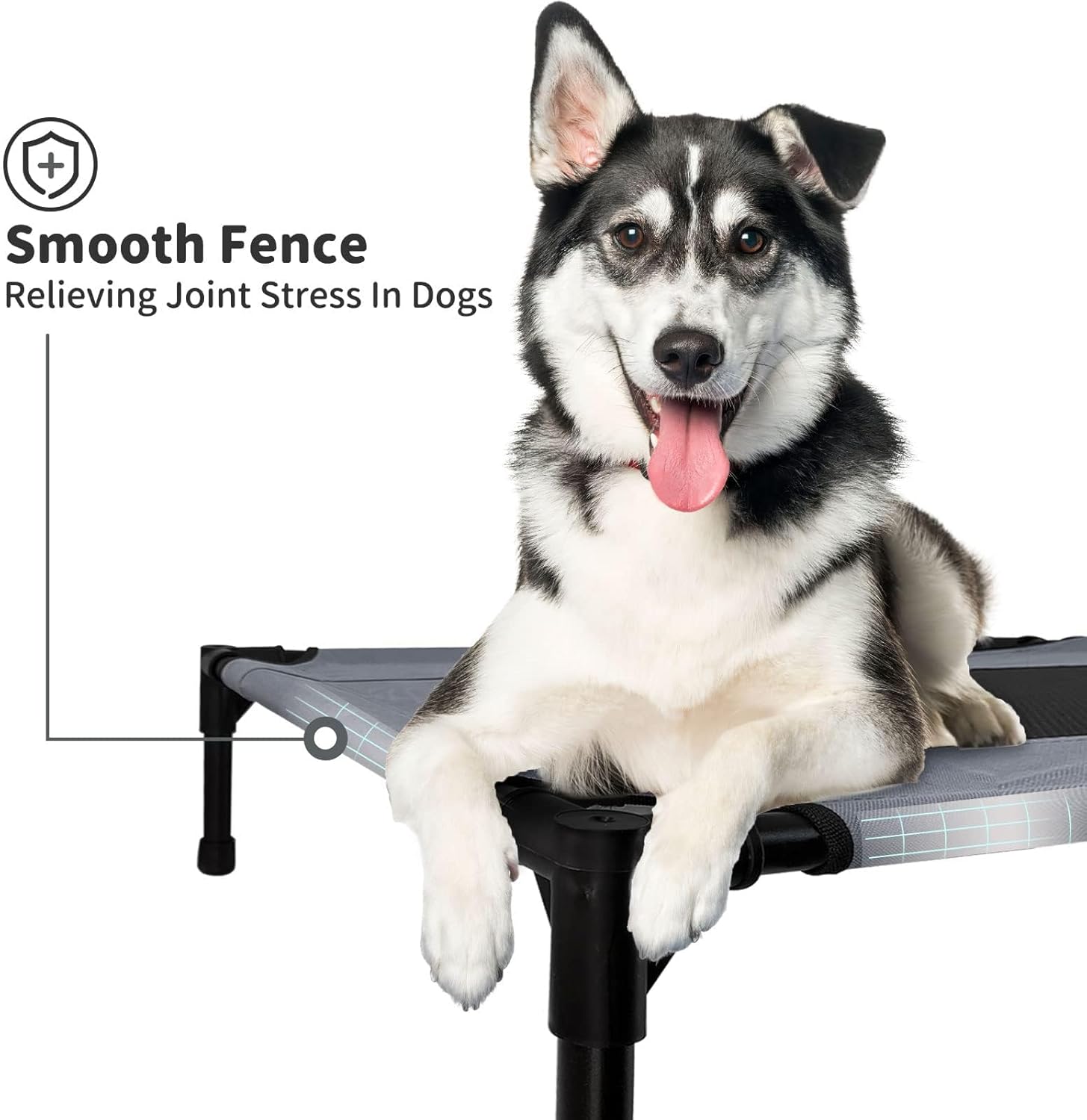 Ultimate Comfort for Big Dogs: Review of the FIOCCO Elevated Dog Bed