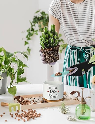Miniatura 6 de Feeling Cute Might Die Later - Maceta de cerámica grabada para suculentas, aloe y cactus, divertidas macetas de interior con bandeja de bambú para