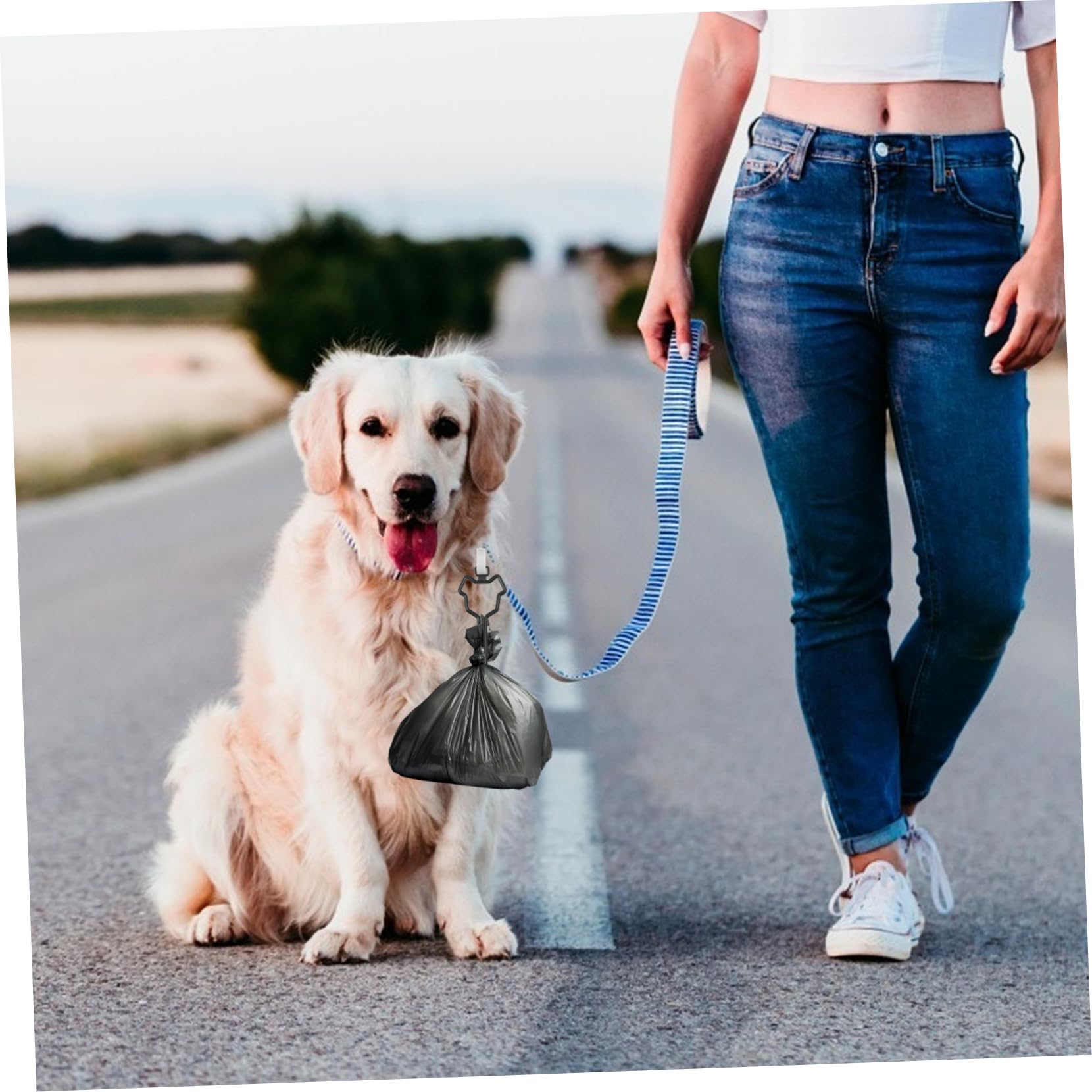 INOOMP 30piezas Soporte De Bolsas Para Excrementos De Clip Inalámbrico Para Transportar Bolsas De Desechos Para De Paseos Sin