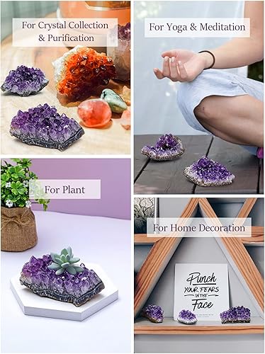 Miniatura 5 de Top Plaza Piedras de cristal curativo de cuevas de geoda de amatista natural, racimo de roca druzy brujería, espécimen de amatista cruda (0.44 a