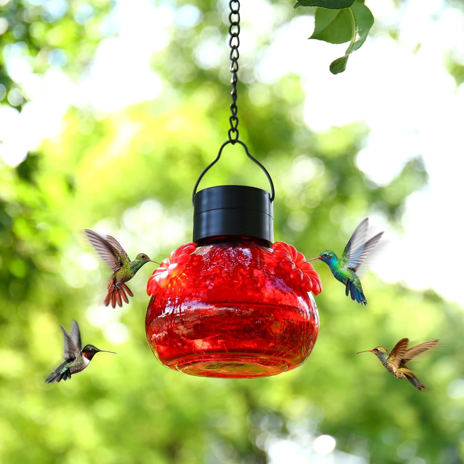 VOREEN 17oz Solar Hummingbird Feeder with LED Light, Deep Ruby Red Crackle Glass Nectar Bottle, Waterproof, Easy-Clean Wide Mouth & Rust-Proof Silicone Ports for Outdoor Garden, Yard, Patio
