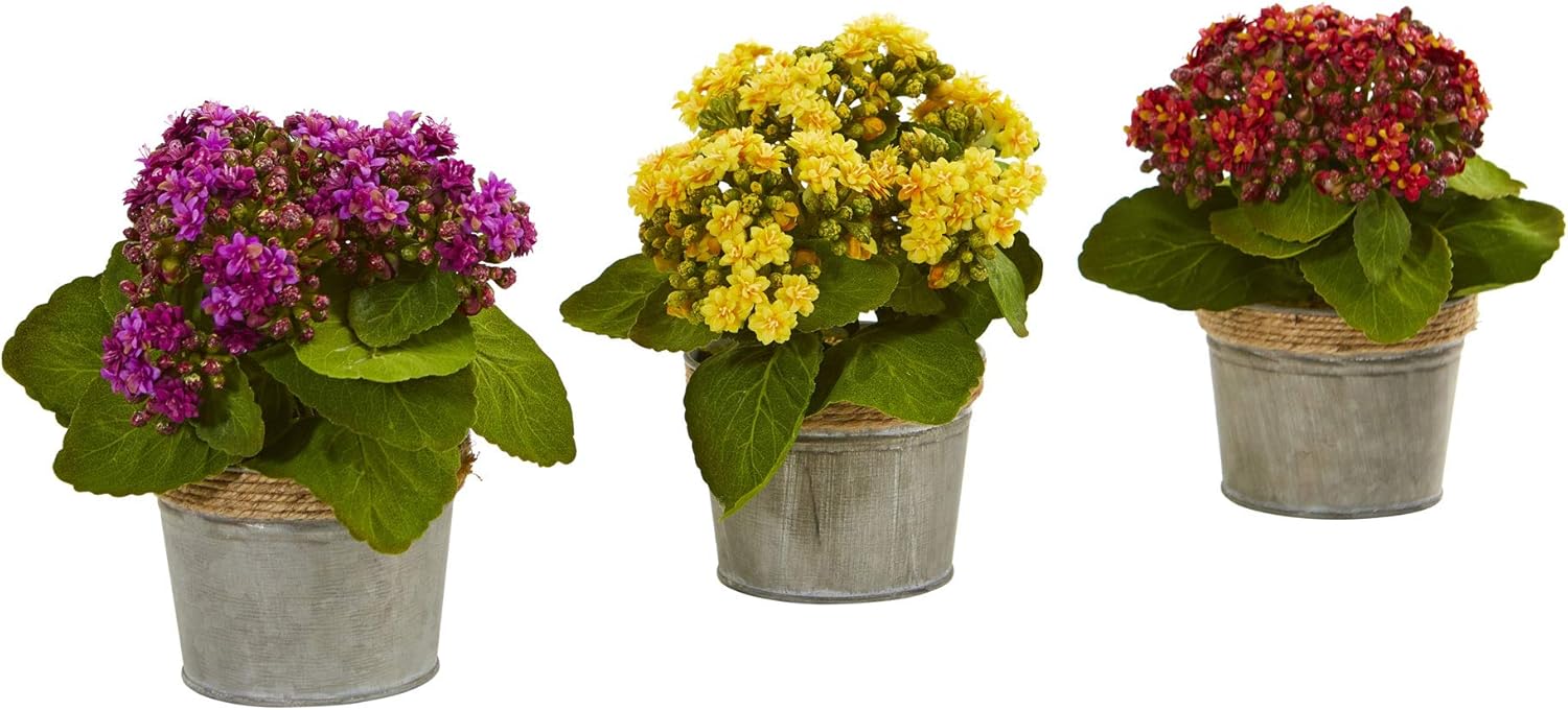 Nearly Natural Kalanchoe Artificial Arrangements (Set of 3)
