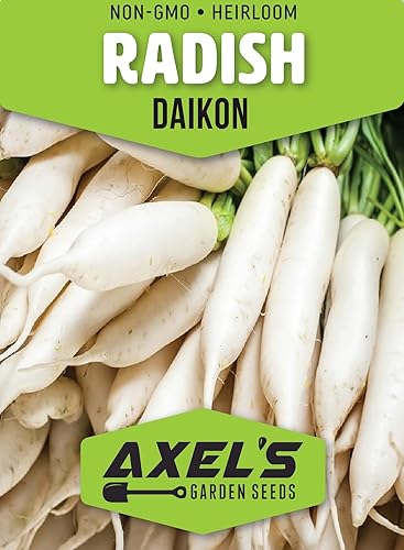 Miniatura 2 de Semillas de rábano daikon japonés para plantar - 100 semillas autóctonas sin OMG - Instrucciones completas de siembra para plantar y cultivar un
