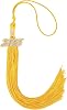 JULMELON 2025 Graduation Tassel, 2025 Graduation Cap Tassel with Bling Charm, Graduate Hat 2025 Ceremonies Accessories Gold