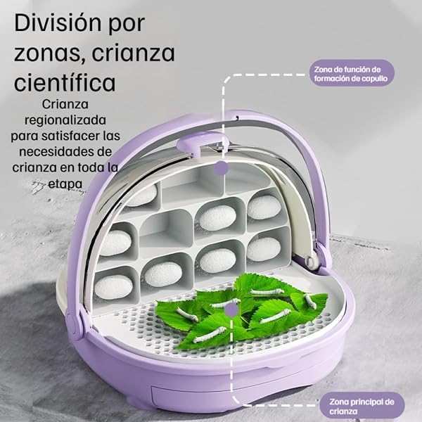 Cápsula para la cría Jaula para animalescaja Gusanos de Seda, terrario para Reptiles, Caja de alimentación portátil Transparente Tipo cajón Mejorada con asa. - 5