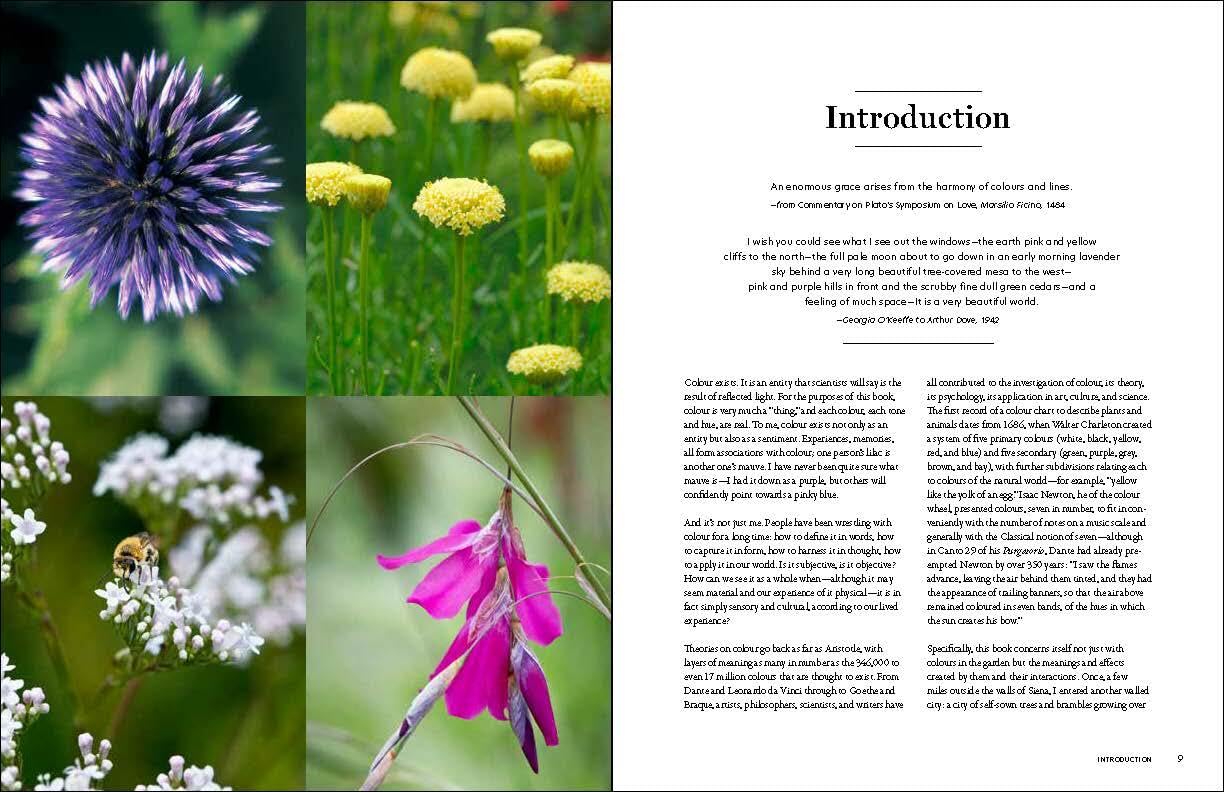 The Gardener's Palette: Creating Colour Harmony in the Garden