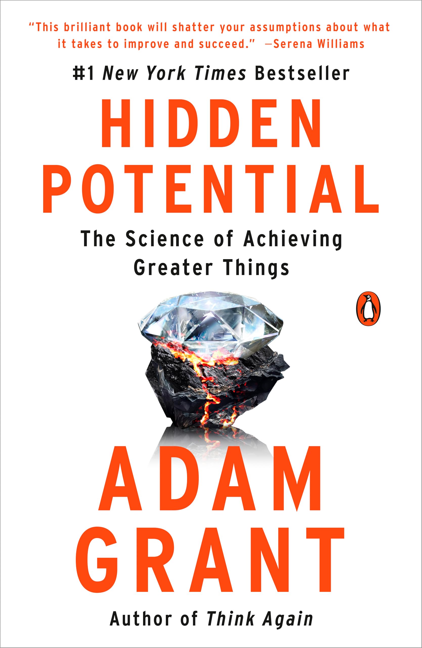 Book cover for Hidden Potential symbolizing the untapped talent of Pakistani students