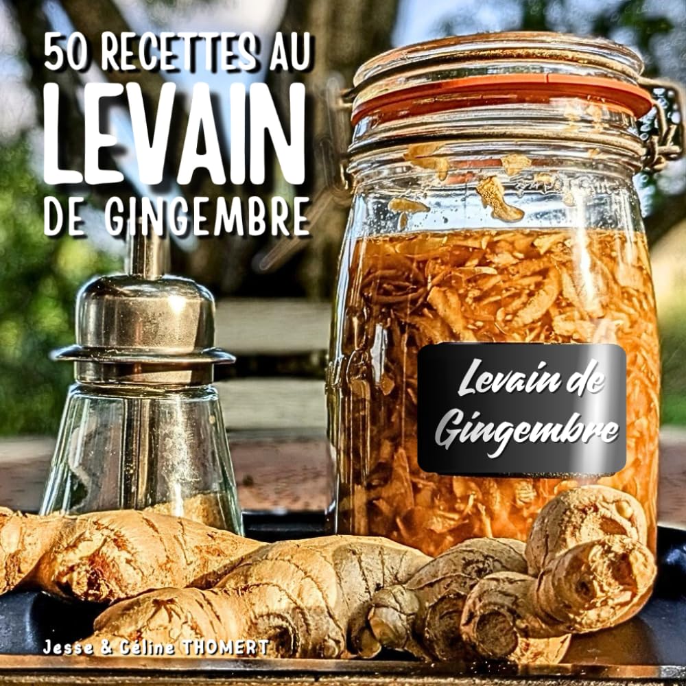 50 RECETTES AU LEVAIN DE GINGEMBRE