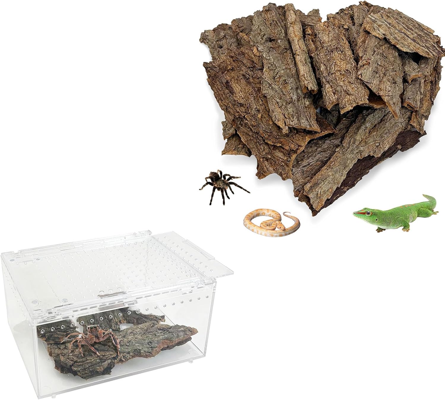 Reptile Cork Bark with Reptile Terrarium Enclosure Acrylic Tarantula Breeding Box Magnetic Hermit Crab Habitat Tank Transparent Jumping Spider Cage