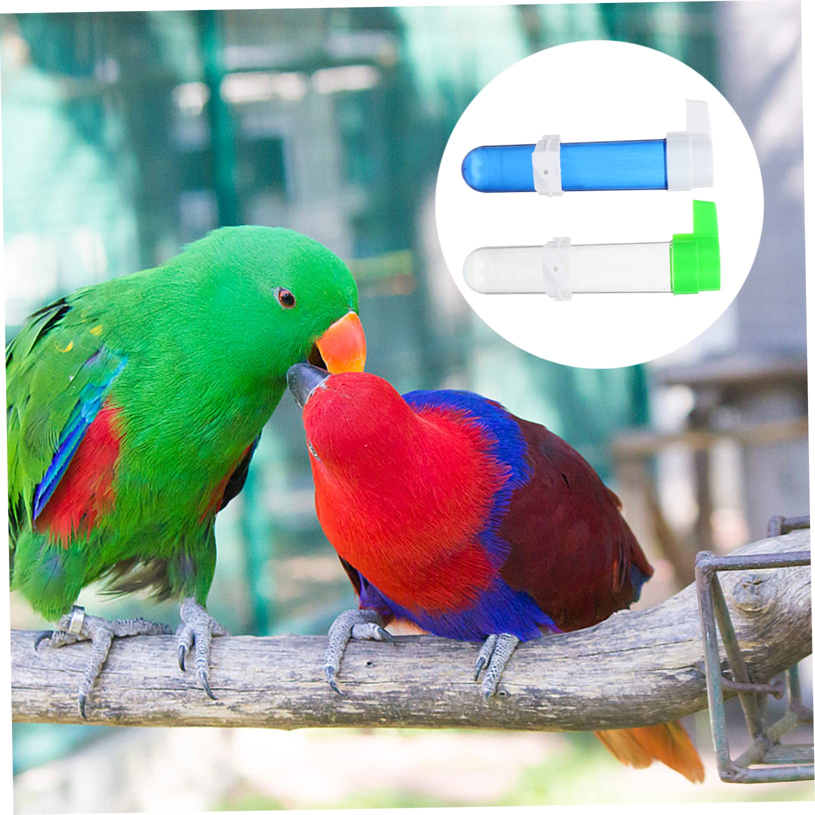 Sosoport 3 Set Di Mangiatoie Per Pappagalli Mangiatoie Automatiche Per Uccelli Per Uccelli Domestici Forniture Per Animali Domestici 4 Pezzi * 3