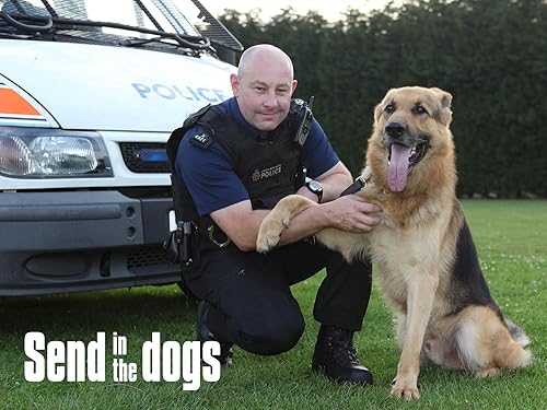 Send In The Dogs (TV Series)