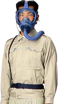 71AIVV7E4WL._AC_UF350,