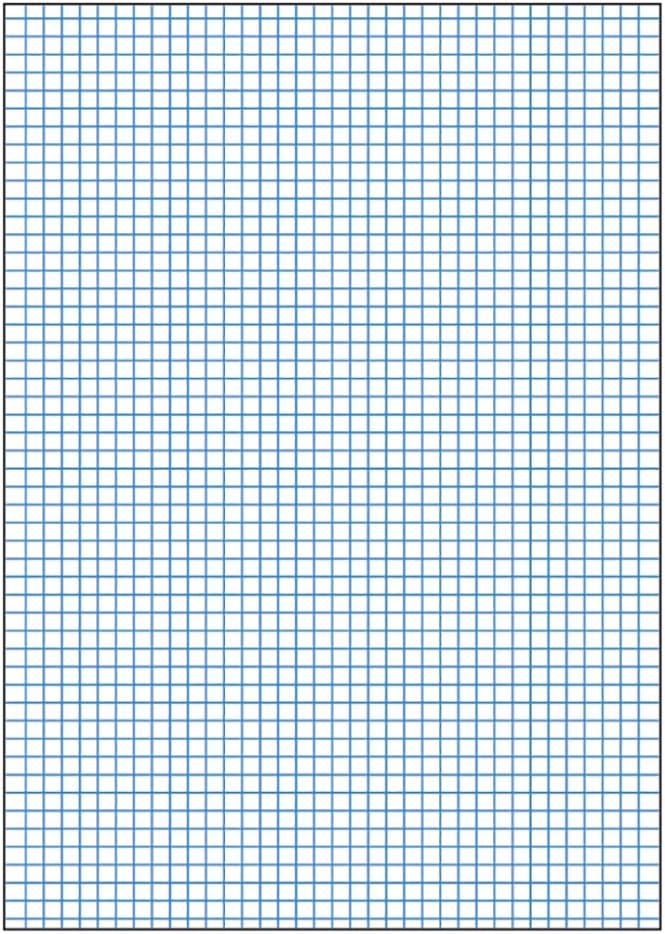 Maruman P154A Report Paper, 0.2 inch (5 mm), Grid Ruled, B5, Set of 10