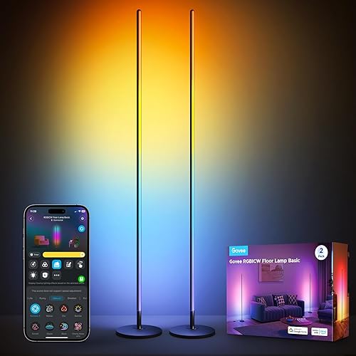 Govee RGBICW LED Floor Lamp Living Room 2 Pack, WiFi Floor Lamp Dimmable, Work with Alexa and Google Assistant, 16 Million Colours, 61 Scene Modes, Music Modes, DIY Mode for Bedroom, Black - Schwarz - 2 Packung