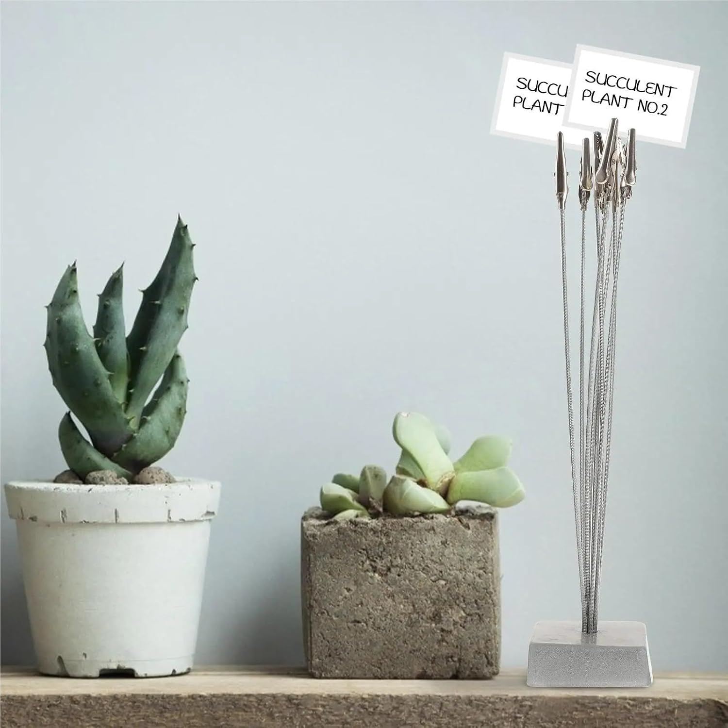 Photo Tree Holders 2setes Note Clip Photo Holder Silver Grey Resin Base Steel Clips Memo Frame Picture Postcard Document Business Card Display