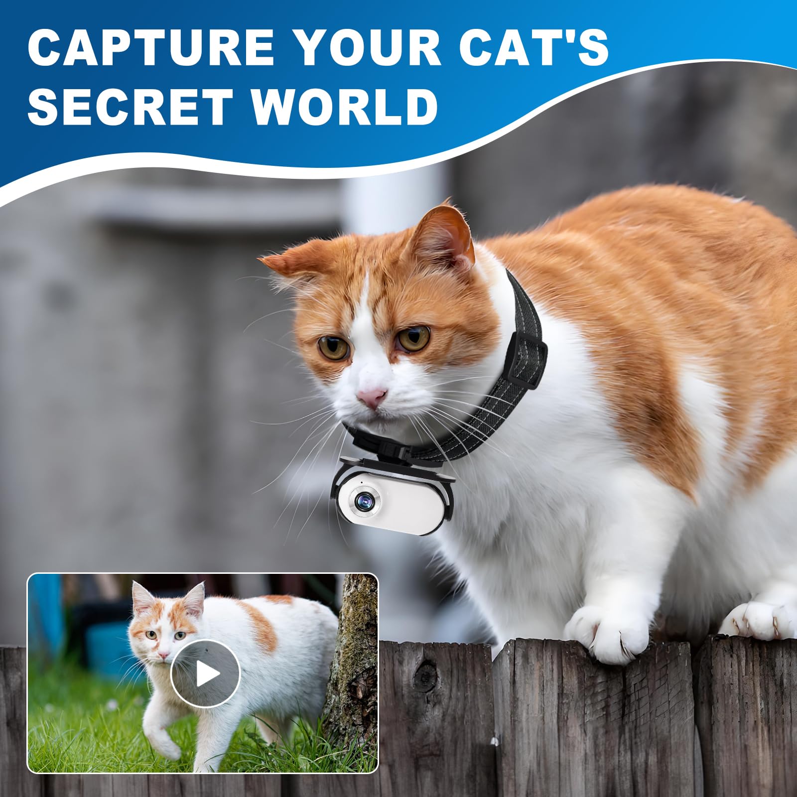 Collar de cámara para gatos 1080P, mini cámara deportiva inalámbrica con grabación de video, cámara de acción pequeña para suministros de mascotas, cámara corporal para interiores y