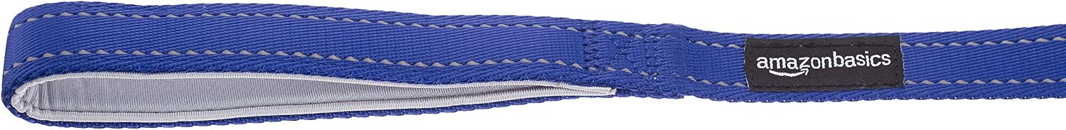 Amazon Basics Padded Handle Dog Leash, 4-Foot, Blue