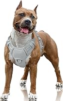 Vista 81 de BARKBAY Arnés para Perro Sin Tirones Talla Grande Arnés Reflectante para Perro con Clip Frontal y Asa de Control Fácil para Caminar Entrenar Correr