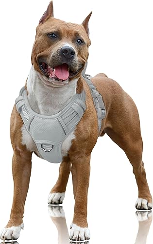 Miniatura 81 de BARKBAY - Arnés sin tirones para perro, reflectante, con clip frontal y asa de fácil control para entrenamiento, paseos y correr, con bolsillo