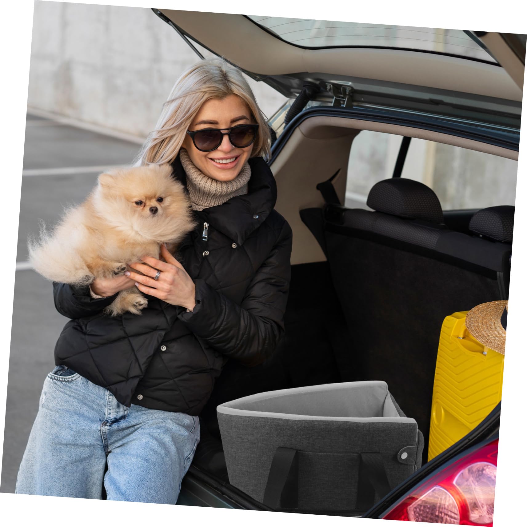 HEMOTON Per Console Sedile Portatile Per Animali Domestici Resistente Facile Da Pulire Adatto Per Viaggi Confortevoli