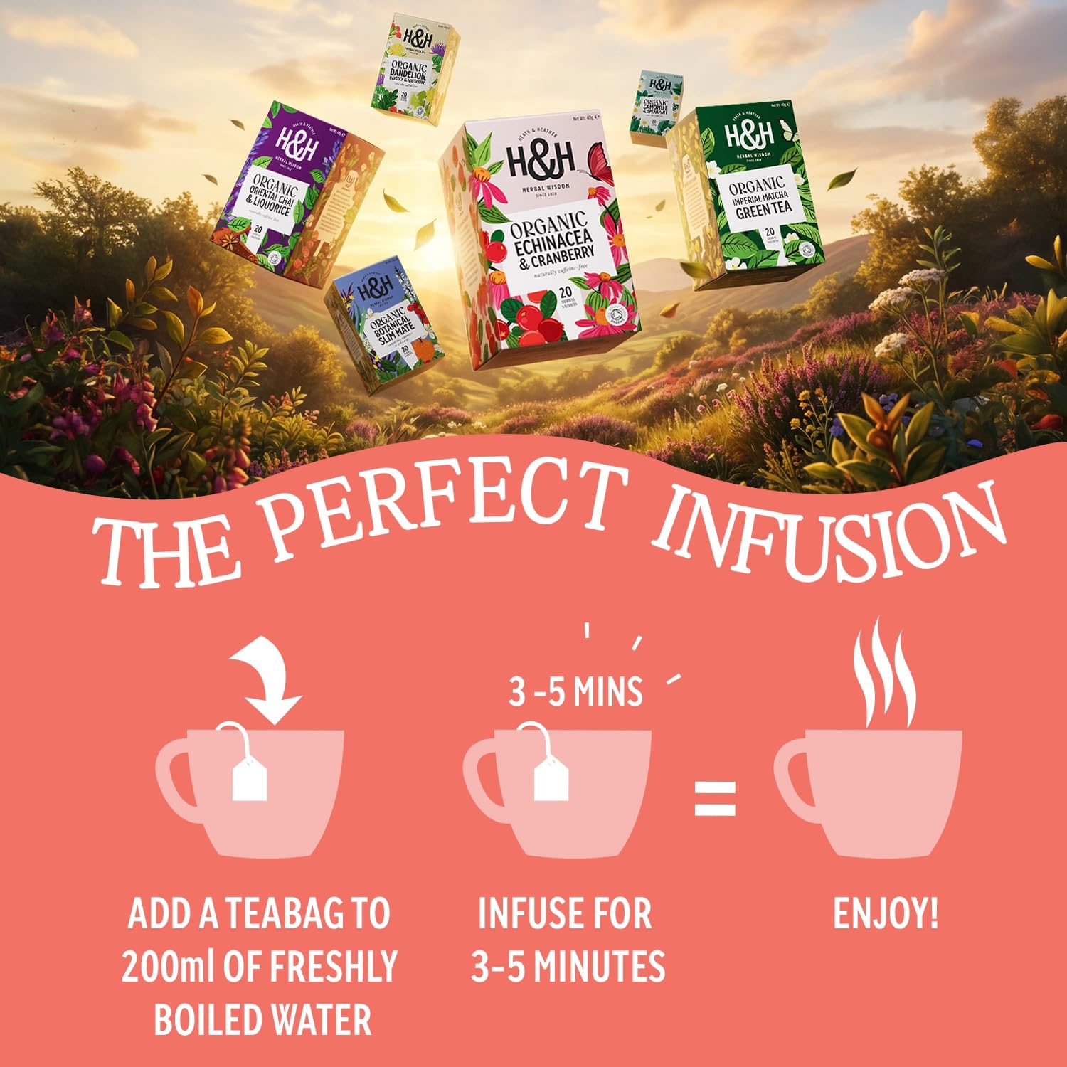 Heath & Heather - Organic Apple & Cinnamon Tea • Warming Fruit & Spice Infusion • Naturally Caffeine-Free • Vegan • Comforting & Aromatic • Multipack 6 x 20 Boxes (120 Tea Bags) — view 4