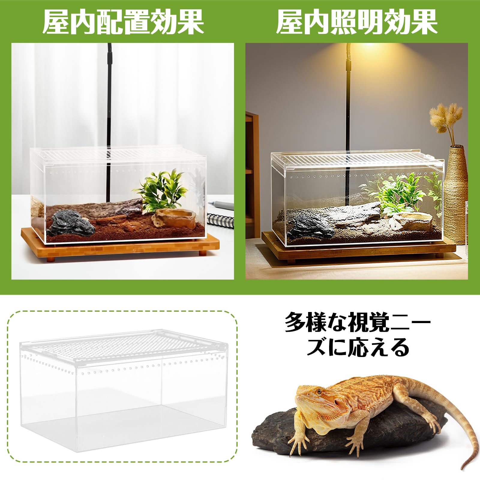 爬虫類飼育セット Amazon | エキゾテラ GEX EXOTERRA フトアゴヒゲトカゲ&リクガメ