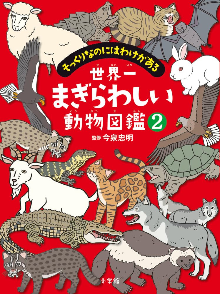 世界一まぎらわしい動物図鑑: そっくりなのにはわけがある (2) | 今泉
